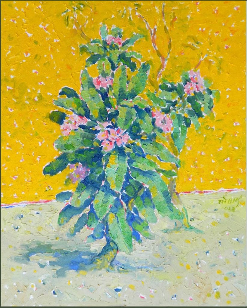 IMG 1528 1 Scaled E1766054162280 822x1024