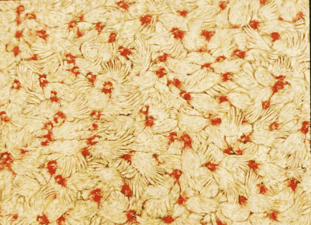 img 1538 1 scaled.webp