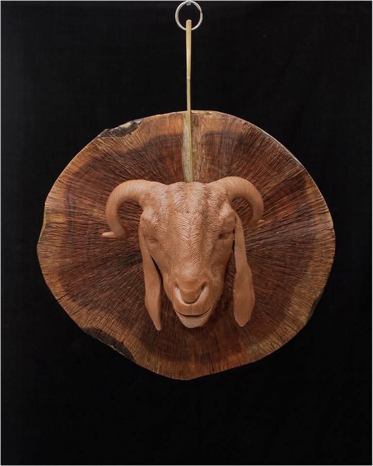 aae3b126 01d4 42a1 a2fa d8ad1b542939.jpg