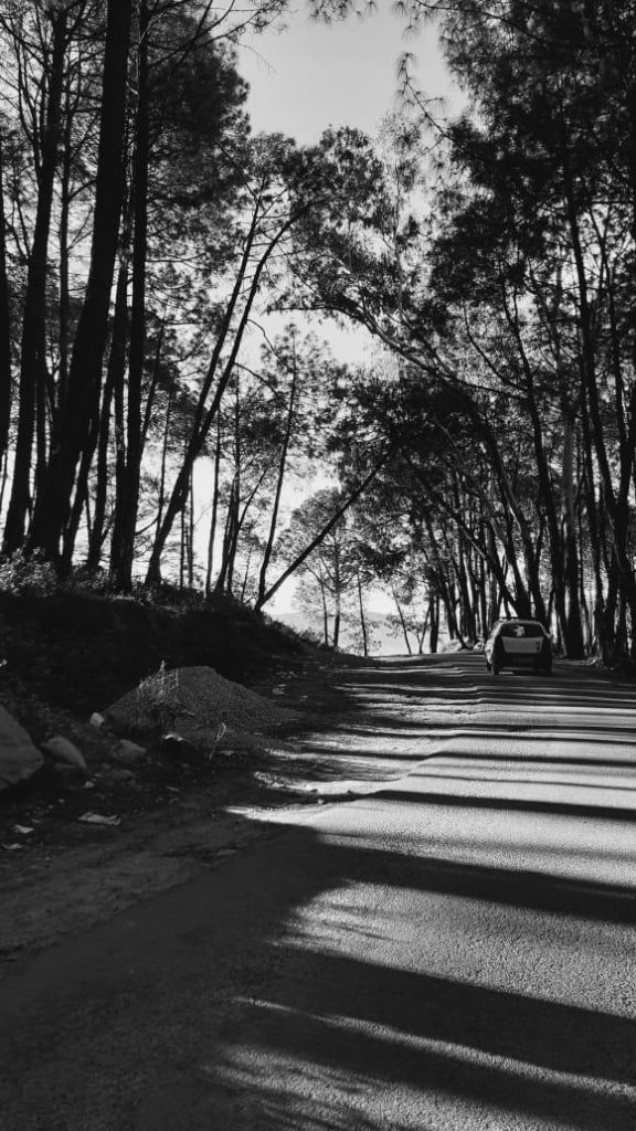 whatsapp image 2026 04 08 at 17.04.27 (10)