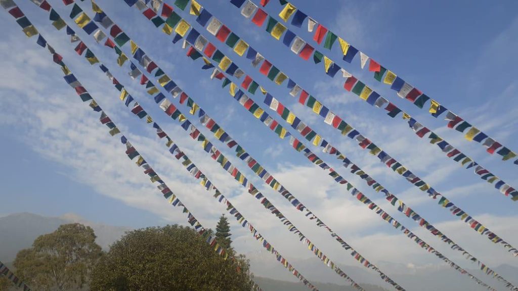 whatsapp image 2026 04 08 at 17.04.27 (12)