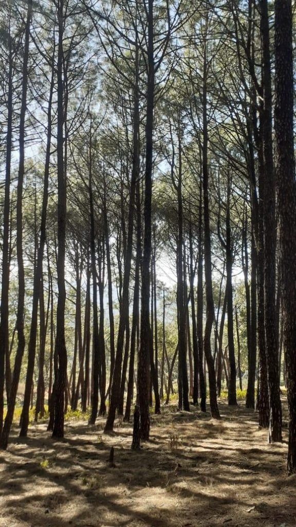 whatsapp image 2026 04 08 at 17.04.27 (13)