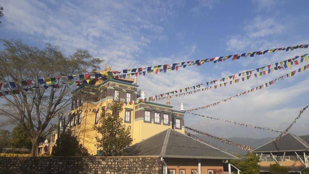 whatsapp image 2026 04 08 at 17.04.27 (14)