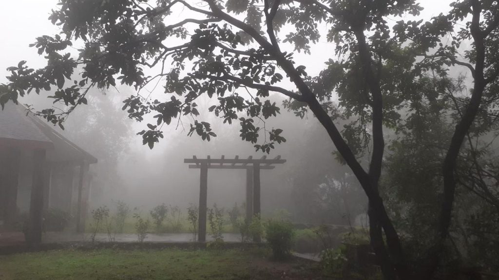 whatsapp image 2026 04 08 at 17.04.27 (4)