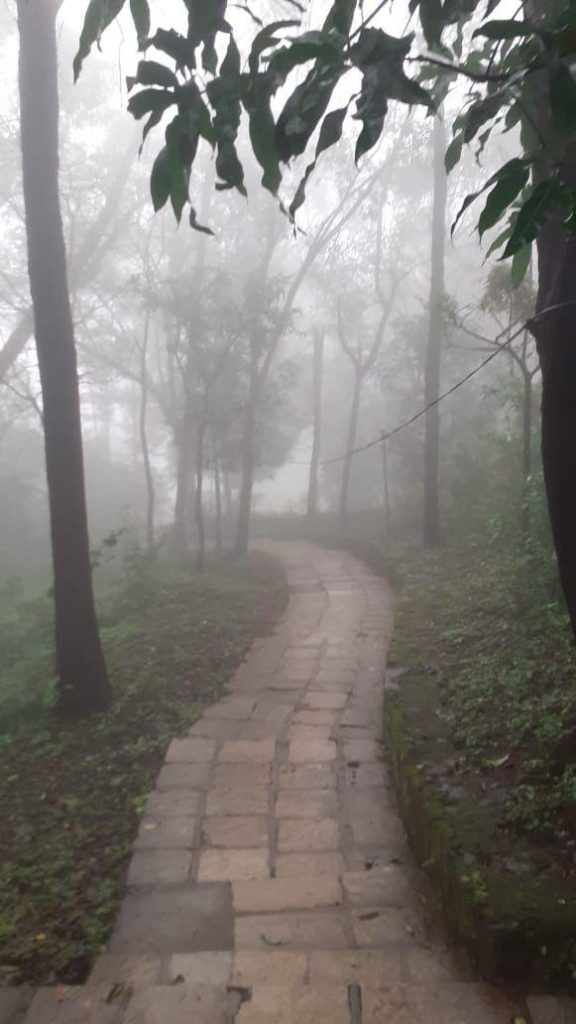 whatsapp image 2026 04 08 at 17.04.27 (5)