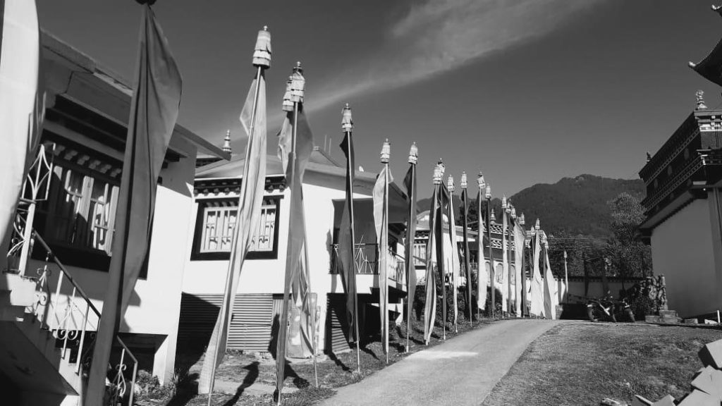 whatsapp image 2026 04 08 at 17.04.27 (9)